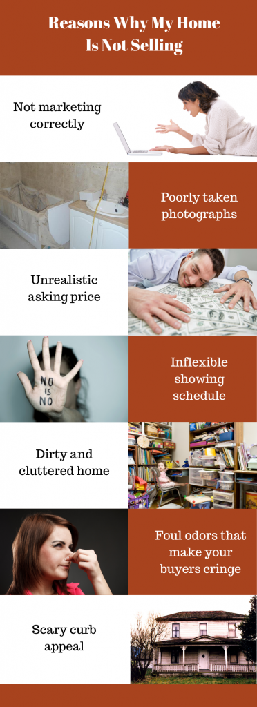 reasons why my home is not selling inforgraphic